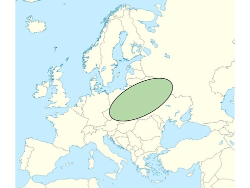 vast area of flat or gently rolling land from France to Russia